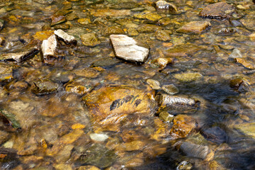 Mountain stream on a summer day in the Ukrainian Carpathians