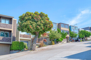 Fototapeta na wymiar Neighborhood on a sloped land in San Francisco, California with concrete street pavement