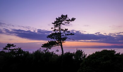 葉山近代美術館から見た夕暮の鮮やかな空と一色海岸の海を背景に松のシルエット