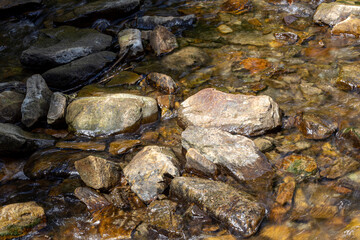 Mountain stream on a summer day in the Ukrainian Carpathians