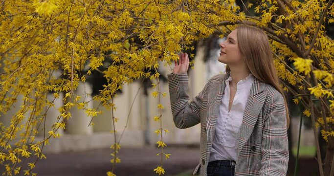 Woman sniff the aroma of beautiful blossom yellow tree in the park