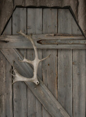 Reindeer Antlers on a Cabin Door