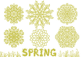 Spring set of beautiful mandalas with word Spring lettering in green color isolated on white background. Fresh floral ornaments. Abstract flowers. Digital illustration.