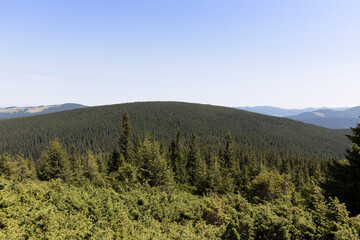 Mountain landscape in Ukrainian Carpathians in summer.