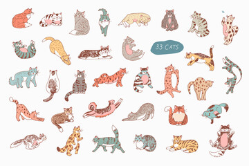Cats animals vector illustrations set