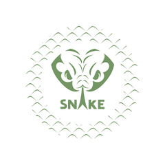 Snake flat illustration