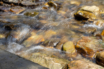 Mountain stream on a summer day in the Ukrainian Carpathians