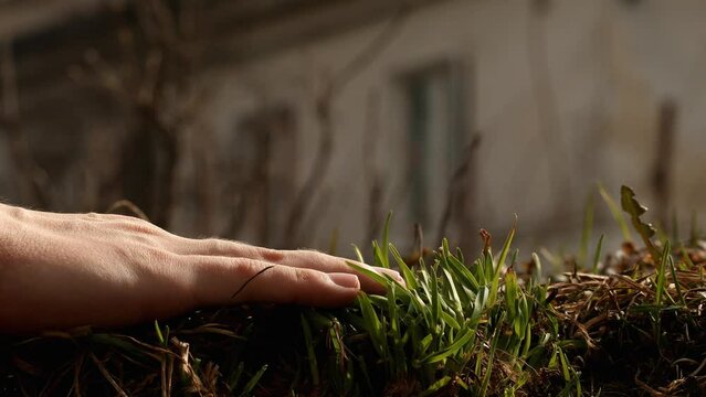 Young male right hand touching green spring grass. Pavel, my right hand. Date of shooting day 22 April 2022 year, MSK time. This video was filmed in Russia.