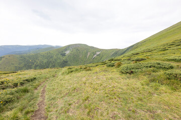 Panorama of mountains in the Ukrainian Carpathians on a summer day.