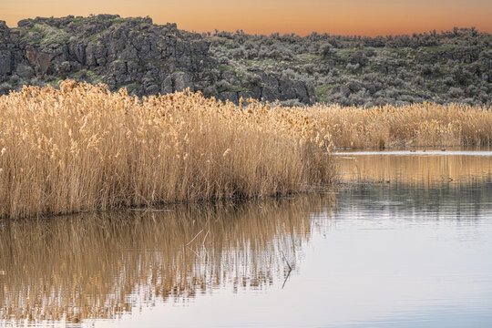 Landscape In The Columbia National Wildlife Refuge, WA