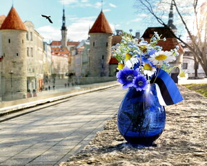  Tallinn old town hall square Estonia national flag symbols of a blue bouquet cornflower in blue vase  on street cafe table top city panorama  blue sky