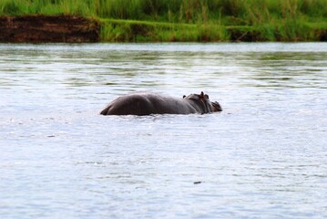 Fototapeta premium Namibia River 21