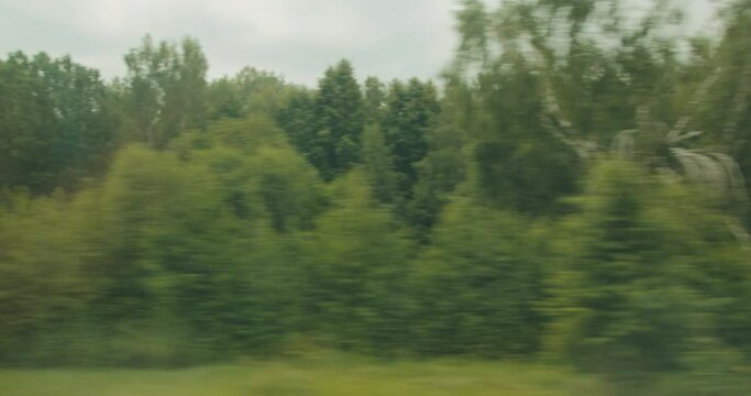 View from the window of a moving train of fields and forests on warm summer day