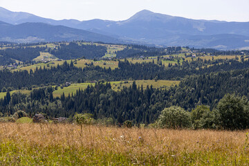 Mountain landscape in Ukrainian Carpathians in summer.