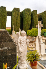 schöner Engel neben einem Grabstein und großen Koniferen im Hintergrund
Friedhof auf Spaniens...
