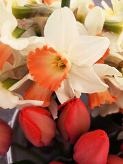 Obraz na płótnie Canvas Daffodils and tulips close-up