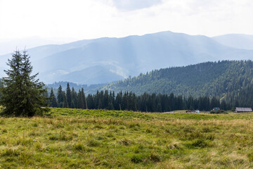 Obraz premium Panorama of mountains in the Ukrainian Carpathians on a summer day.