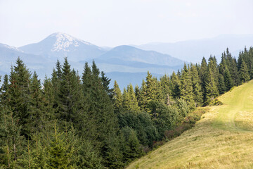 Panorama of mountains in the Ukrainian Carpathians on a summer day.