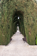 schöner Weg zu einem Friedhof auf Spaniens Insel Mallorca