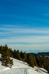 Entdeckungstour auf dem Feldberg im Schwarzwald - Baden-Württemberg - Deutschland