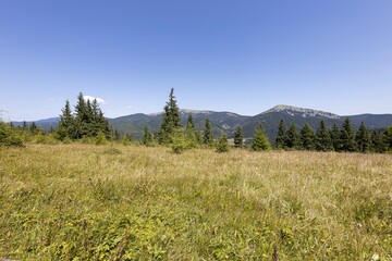 Mountain landscape in Ukrainian Carpathians in summer.