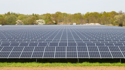Large field with solar panels on the ground for alternative energy.
