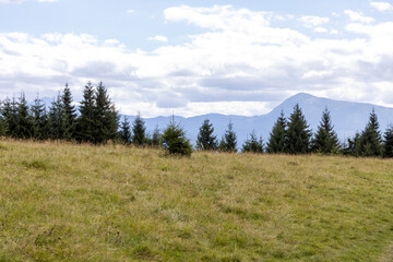 Panorama of mountains in the Ukrainian Carpathians on a summer day.