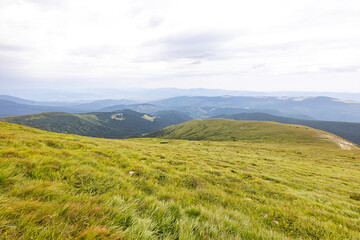 Fototapeta premium Mountain landscape in Ukrainian Carpathians in summer.