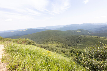 Fototapeta premium Mountain landscape in Ukrainian Carpathians in summer.