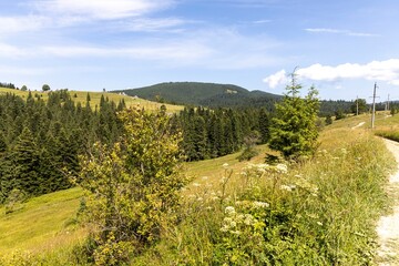 Mountain landscape in Ukrainian Carpathians in summer.