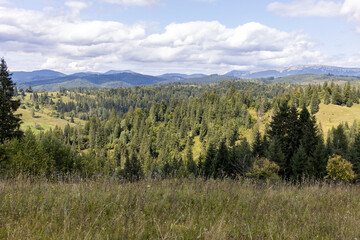 Obraz premium Panorama of mountains in the Ukrainian Carpathians on a summer day.