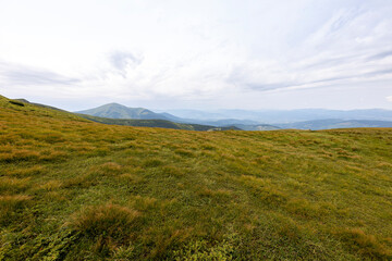 Mountain landscape in Ukrainian Carpathians in summer.