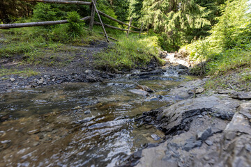 Fototapeta premium Mountain stream on a summer day in the Ukrainian Carpathians