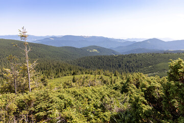 Mountain landscape in Ukrainian Carpathians in summer.