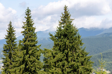 Panorama of mountains in the Ukrainian Carpathians on a summer day.