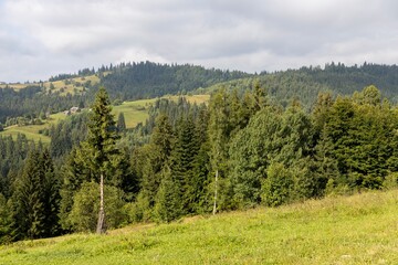 Fototapeta na wymiar Panorama of mountains in the Ukrainian Carpathians on a summer day.