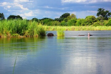 Namibia River 19