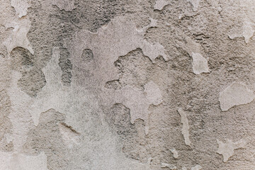 Grey rustic texture background with craquelure.