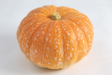 Whole pumpkin, raw and unpeeled, ideal for cooking and decoration of Halloween