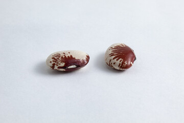 Closeup of raw fava beans in white, brown and red colors. Nutritious and healthy food