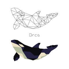Polygonal drawing of killer whale