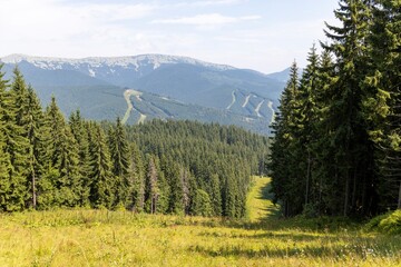 Panorama of mountains in the Ukrainian Carpathians on a summer day.