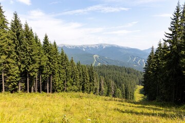 Panorama of mountains in the Ukrainian Carpathians on a summer day.