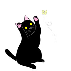 A playing black cat and flying yellow butterfly with white background