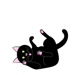 A playing black cat with white background
