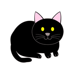 Sitting black cat with white background