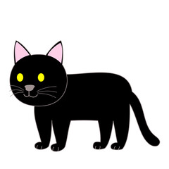 A standing black cat with white background