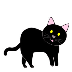 A standing black cat with white background