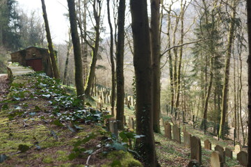 Landschaften und die schönheiten