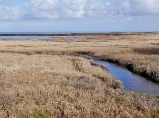 Bach flie&szlig;t durchs Feld an der Nordseek&uuml;ste